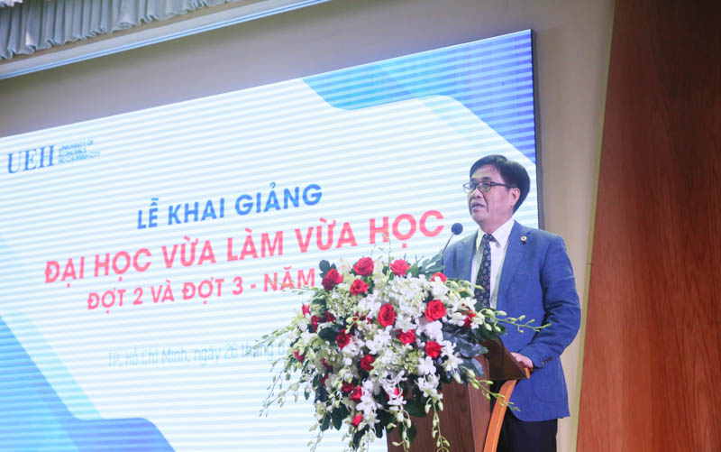 cá cược thể thao hul city